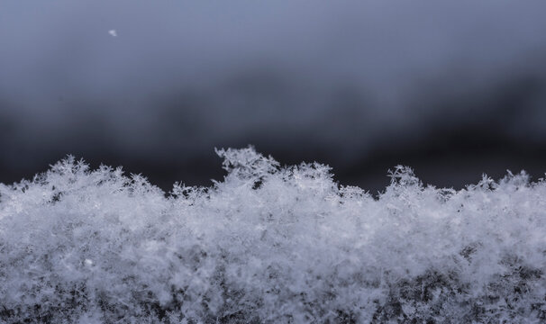 Close-up of snowflakes on field - Powered by Adobe