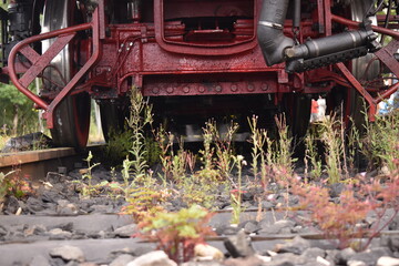 alte Lokomotive