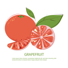 Grapefruit Slices and whole Pink Grapefruits. Pink Grapefruit. Juicy Grapefruit with Green Leafs. © Ilona