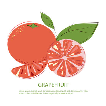 Grapefruit Slices and whole Pink Grapefruits. Pink Grapefruit. Juicy Grapefruit with Green Leafs.