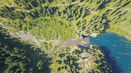 Coniferous trees rise from the depths of a mountain lake. Top view from the drone. On the shore you can see rocks, green forest and grass growing. Kaindy Lake, Kazakhstan. Groups tourists are resting.