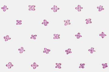 Lilac blossoming flowers pattern isolated on white background. Flat lay. Top view. Floral pattern
