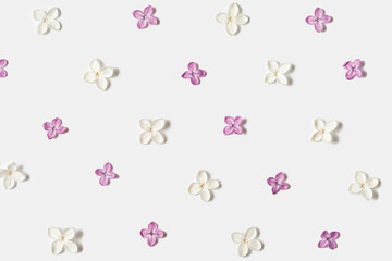 White and purple lilac blossoming flowers pattern isolated on white background. Flat lay. Top view. Floral pattern.