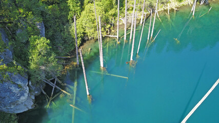 Coniferous trees rise from the depths of a mountain lake. Top view from the drone. On the shore you can see rocks, green forest and grass growing. Kaindy Lake, Kazakhstan. Groups tourists are resting.