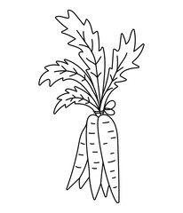 Vector black and white bunch of carrot icon. Healthy root vegetable outline illustration or coloring page. Food clip art. Cute plant isolated on white background..