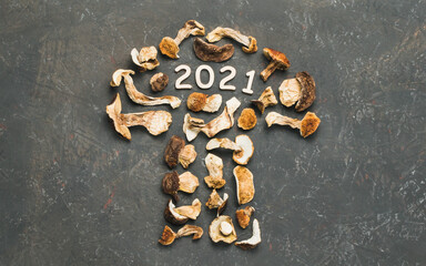 Dried porcini mushrooms on a decorative background