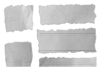 Torn pieces of paper