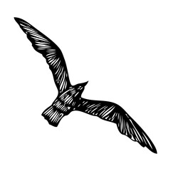 Black seagull, hand drawn strokes marine sea gull bird. Drawing sketch. Inspirational body flash tattoo ink for sailor. Nautical vector.
