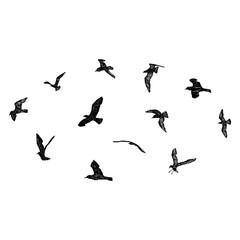 Fototapeta na wymiar Set of seagulls birds, nautical sailor tattoo sketch. Black stroke of flying sea gull silhouettes on white background. Marine set. Drawings of different shapes of water birds in the flock. Vector.