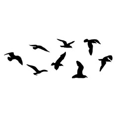 Obraz na płótnie Canvas Set of seagulls birds, nautical sailor tattoo sketch. Black stroke of flying sea gull silhouettes on white background. Marine set. Drawings of different shapes of water birds in the flock. Vector.