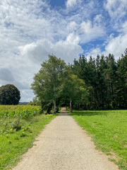 Camino de Santiago