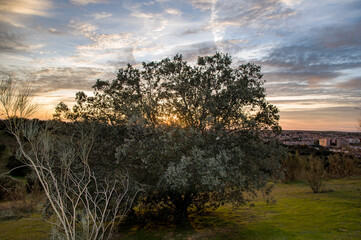 Nos vamos despidiendo del invierno. El Beato, Toledo, Castilla la Mancha, Espa&ntilde;a
