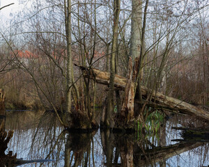 marais