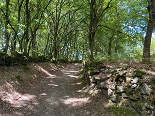 Camino de Santiago