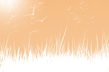 Illustration with grass and birds in the sun, white and pastel color.