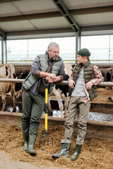 Mature male owner of animal farm talking to teenage boy by paddock with cows