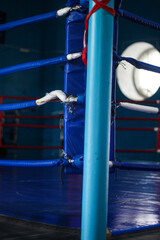 boxing old gym. fighting pears.