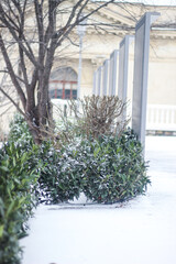 snowy city center. Cold winter.