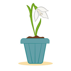 Flower potted, flowering snowdrop. Can be used for website design, in the form of icons, for the sphere of floristry, as well as for gardens and vegetable gardens.