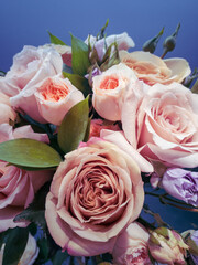 A bouquet of delicate pink roses with green twigs on a blue background