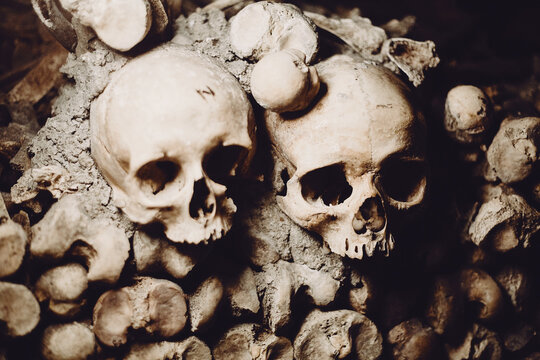 Sculls and bones in the catacombes of Paris