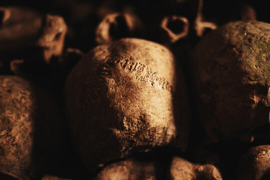 Sculls laying in the catacombes of Paris