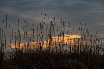 orange sky behind the grass