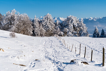 Fototapeta na wymiar Chemin de randonnée sur le Salève en hiver