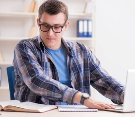 Young student studying over internet in telelearning concept