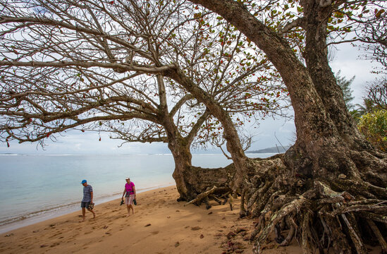 People strolling on Anini Beach, Kauai