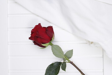 Róża bordowa i tkanina jasna na białym blacie drewnianym
