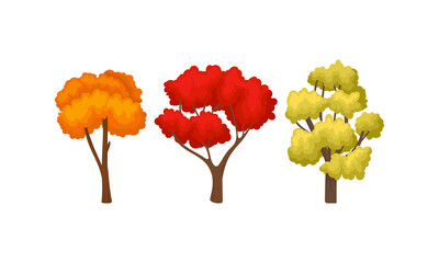 Autumn Trees with Trunk and Bright Foliage Vector Set