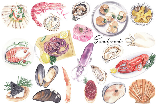 Watercolor seafood illustrations set Great for restaurant menu, cook or recipe book Healthy sea food Mediterranean diet - snails, lobster, seashells, caviar, squid, fish, octopus, oyster, shrimp