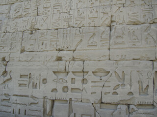 Egyipt - Photograph of an Egyptian hieroglyph