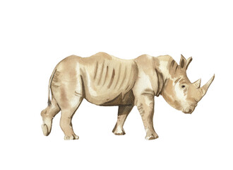 Obraz premium Rhino illustration isolated on white. Watercolor hand drawn hand painted safari animal illustration. Rhinoceros. Jungle, savannah animal. Nursery, baby shower, greeting card. 