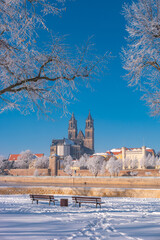 Magdeburg historical downtown in Winter with icy trees and snow during sunrise in the morning with...