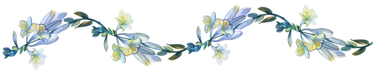 Border, banner hand drawn watercolor isolated white blue flowers lilies. For the design of publications, prints, wedding decor, funeral decorations