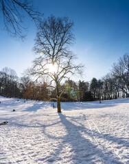 Sledging on the Kaiserberg in Duisburg in the sunshine