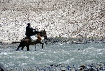 horse and rider