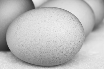 black and white eggs. Shell texture. Shallow depth of field.