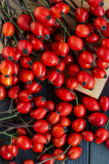  branch Rosehips  Dog rose, red Rosa canina hips - Medicinal plants herbs composition to enhance immunity and vitamins