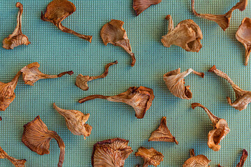 Dried chanterelle mushrooms on a light green background, top view, flat lay.