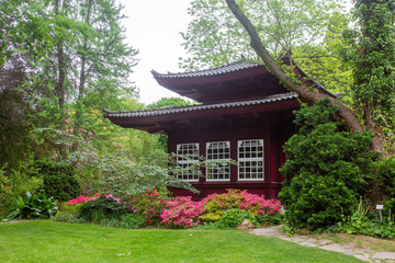 Amazing landscape with green meadow and japanese bridge  in japanese garden in  Leverkusen , north Rhine-Westphalia