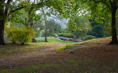 Clean Park under the trees during the day