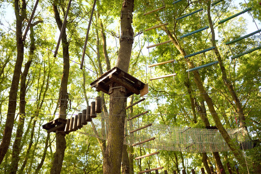 Adventure Park for children - ropes, stairs, bridges in woods among tall trees. Climbing park, adventure playground in the forest. Activity entertainment for kids.