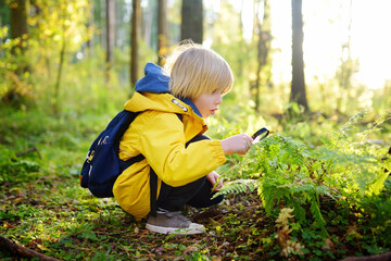 Preschooler boy is exploring nature with magnifying glass. Little child is looking on leaf of fern...
