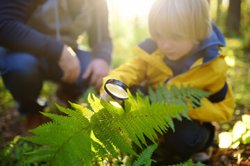 Preschooler boy and his father are exploring nature with magnifying glass. Little child is looking...