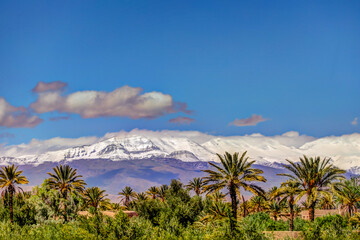 Fototapeta na wymiar High Atlas Mountains of Morocco