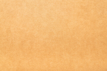 Fototapeta na wymiar Close-up of pressed beige cardboard texture 
