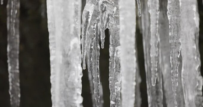 Slow motion of closeup of icicles melting dripping water